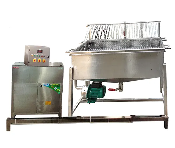 Ozone Based Vegetables and Fruits Washer